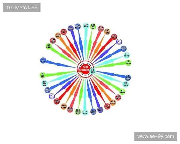 全面解析足球赛球迷入场规则及观赛安全管理要点与实施指南建议集
