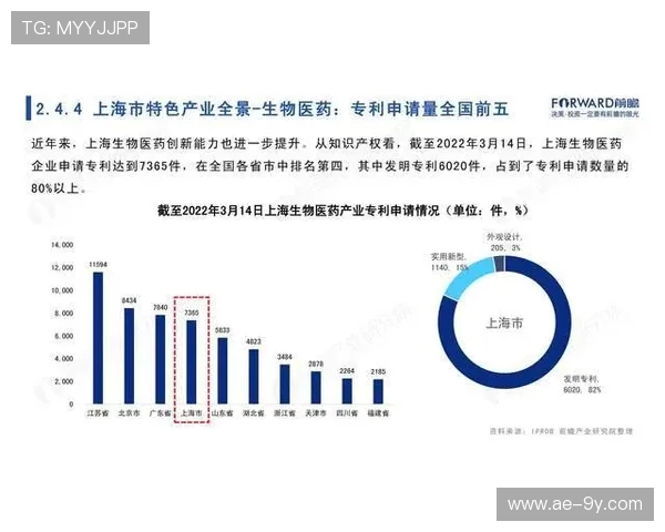 最新巴西足球发展趋势全景观察与未来战略路径深度解析报告前瞻研究